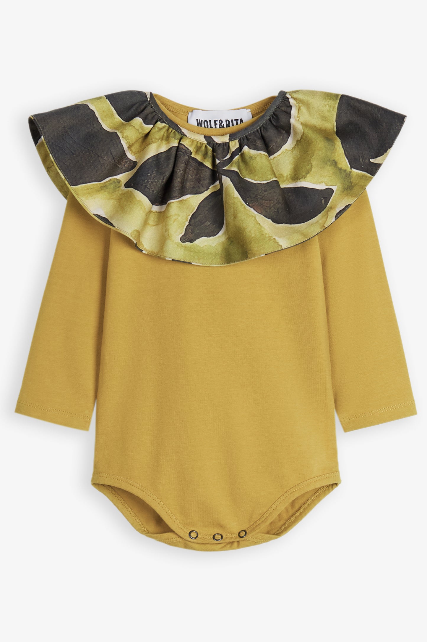 Aurora Olive