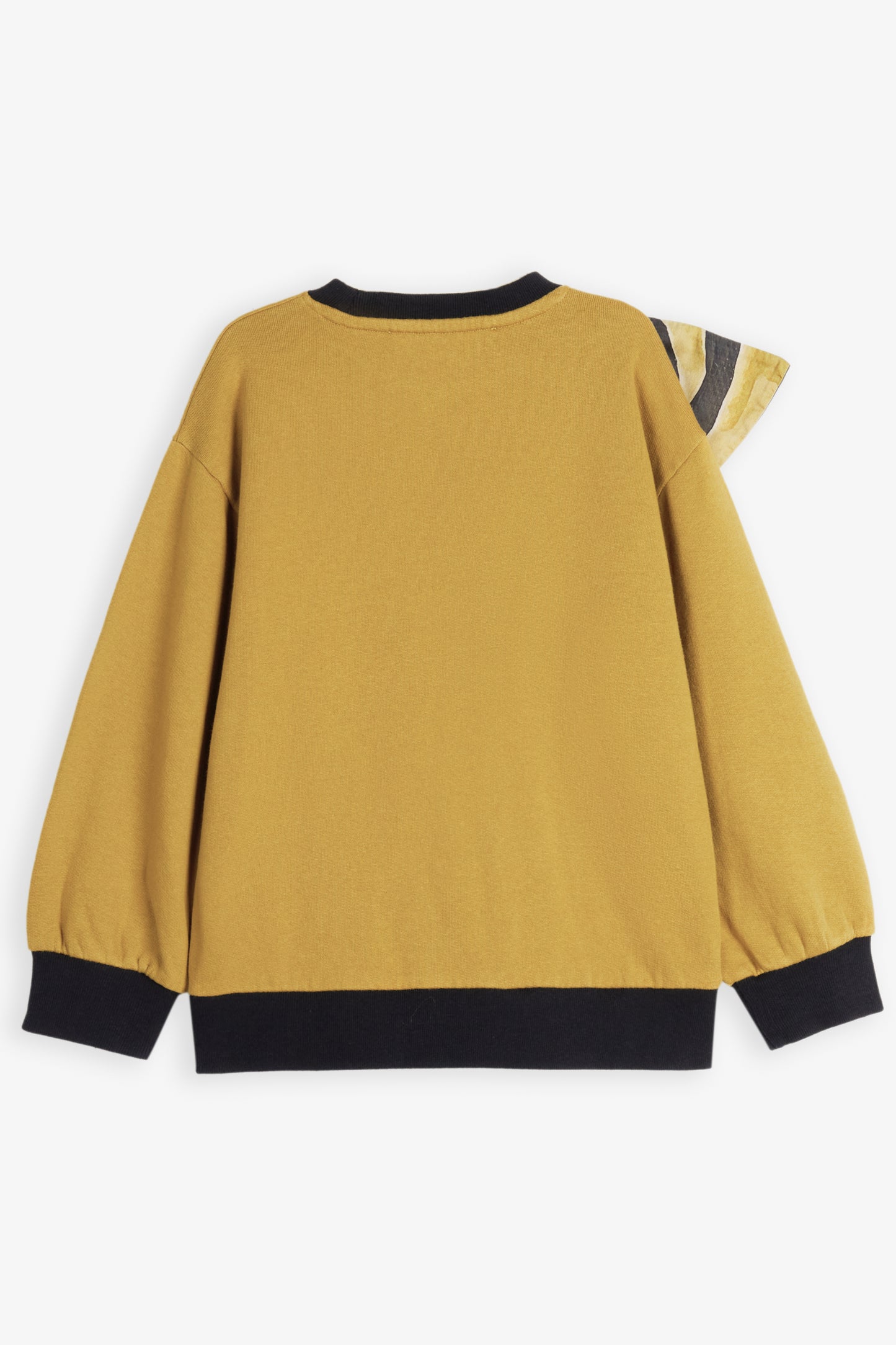 Bernardete Olive