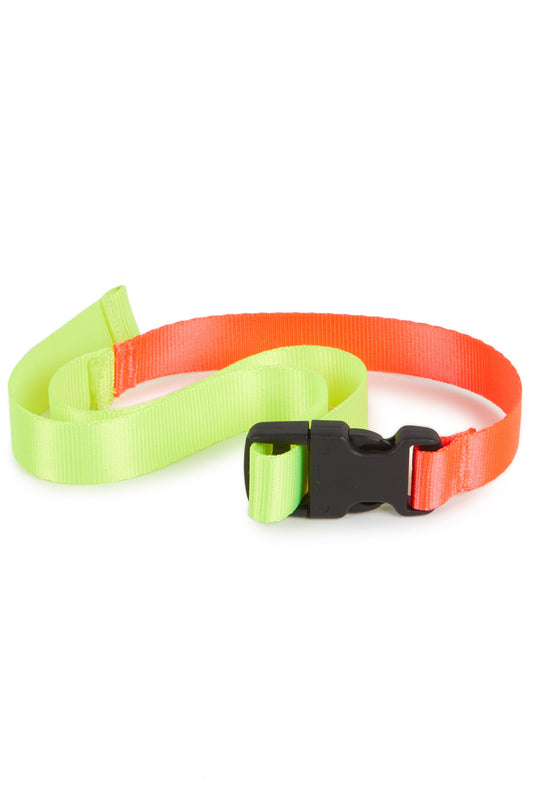 BELT Belchior Fluor