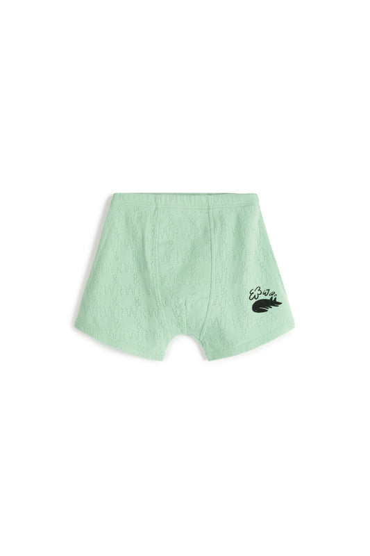 BOXER Igor Pistachio