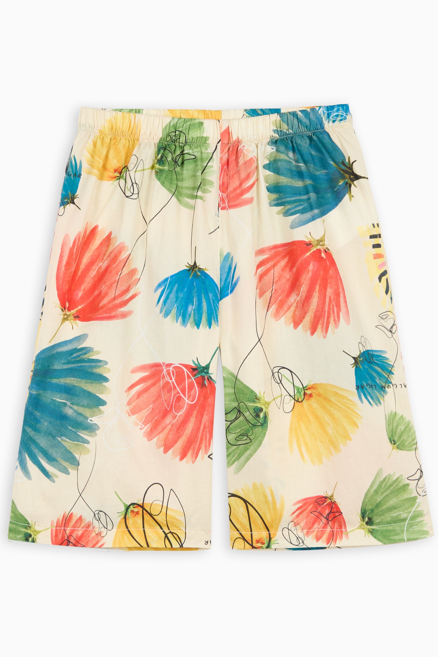 JINBEI Dandelion