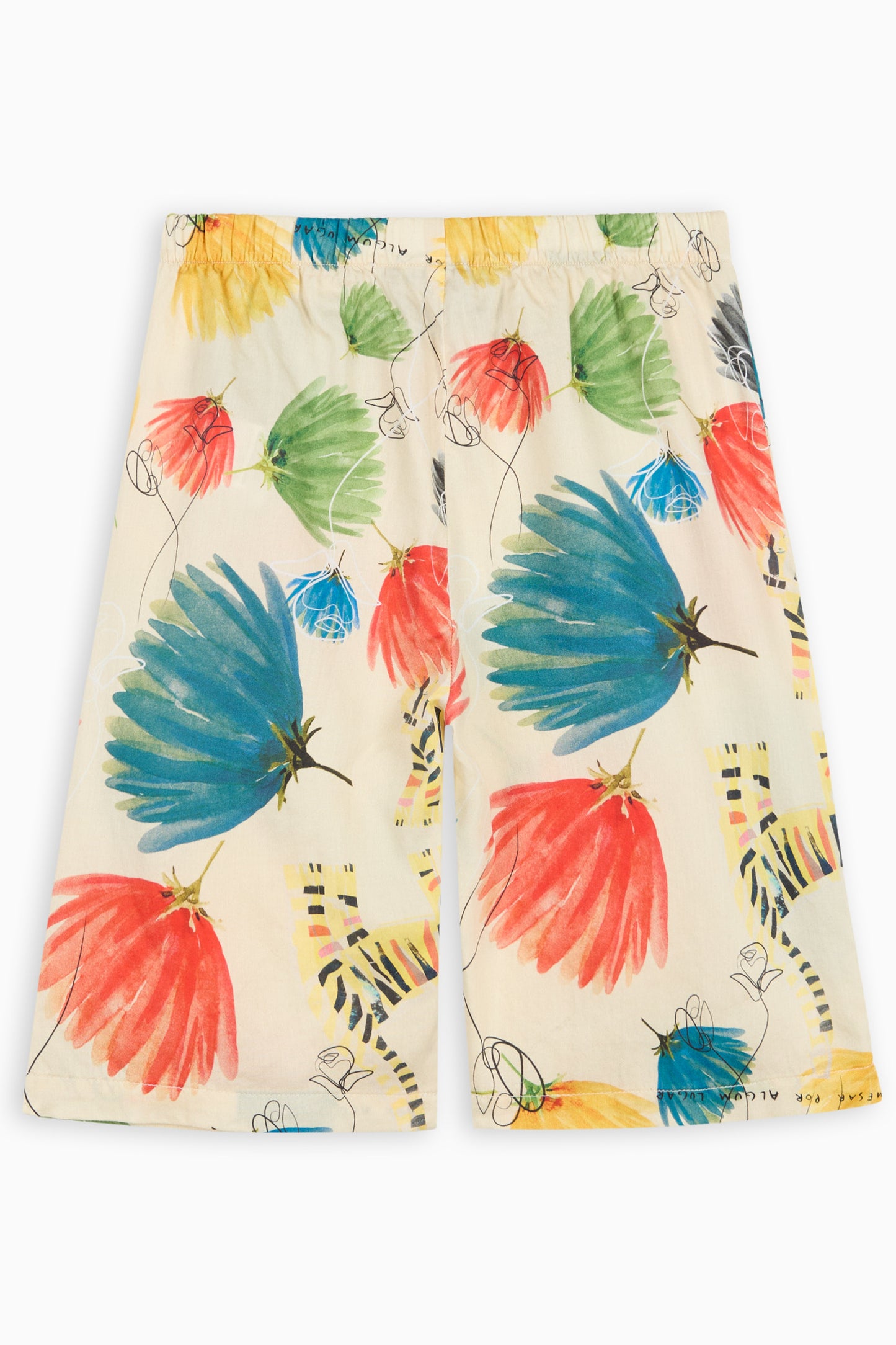 JINBEI Dandelion